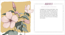 Load image into Gallery viewer, Front Cover