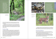 Load image into Gallery viewer, Front Cover