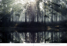 Load image into Gallery viewer, Front Cover