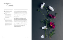 Load image into Gallery viewer, Front Cover