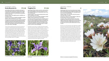 Load image into Gallery viewer, Front Cover