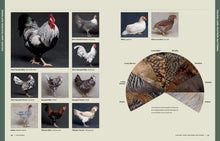 Load image into Gallery viewer, Front Cover