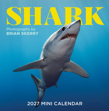 Load image into Gallery viewer, Front Cover