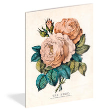 Load image into Gallery viewer, Front Cover