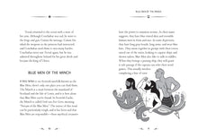 Load image into Gallery viewer, Front Cover