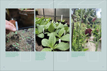 Load image into Gallery viewer, Front Cover