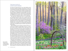 Load image into Gallery viewer, Front Cover