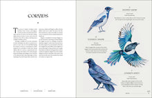 Load image into Gallery viewer, Front Cover