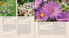 Load image into Gallery viewer, Front Cover
