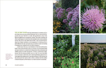 Load image into Gallery viewer, Front Cover