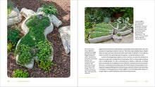 Load image into Gallery viewer, Front Cover