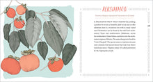 Load image into Gallery viewer, Front Cover