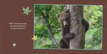 Load image into Gallery viewer, Front Cover
