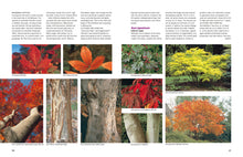 Load image into Gallery viewer, Front Cover