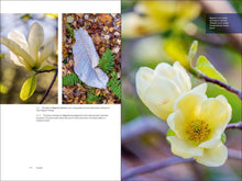 Load image into Gallery viewer, Front Cover