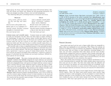 Load image into Gallery viewer, Front Cover