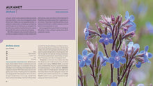 Load image into Gallery viewer, Front Cover