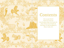 Load image into Gallery viewer, Front Cover