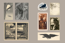 Load image into Gallery viewer, Front Cover