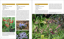 Load image into Gallery viewer, Front Cover