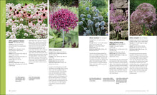 Load image into Gallery viewer, Front Cover