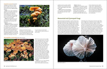 Load image into Gallery viewer, Front Cover