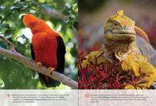 Load image into Gallery viewer, Front Cover