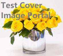 Load image into Gallery viewer, Aprimo Test Title #1
