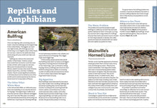 Load image into Gallery viewer, Front Cover
