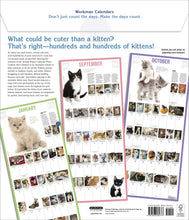 Load image into Gallery viewer, Front Cover
